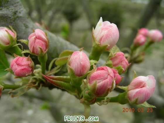 DSCN7412.JPG