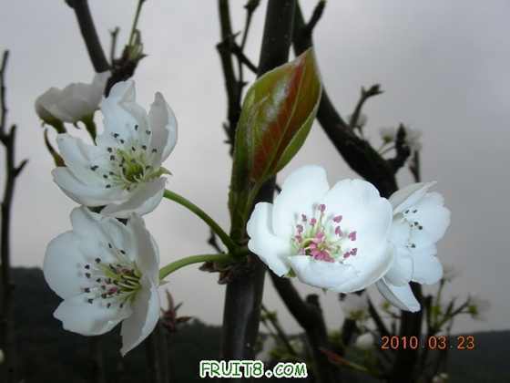 DSCN7418.JPG