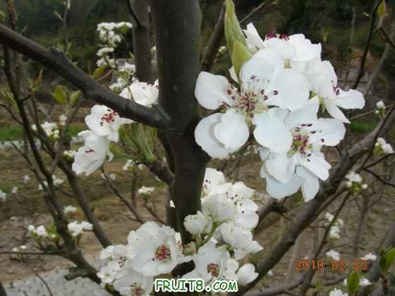 DSCN7420.JPG