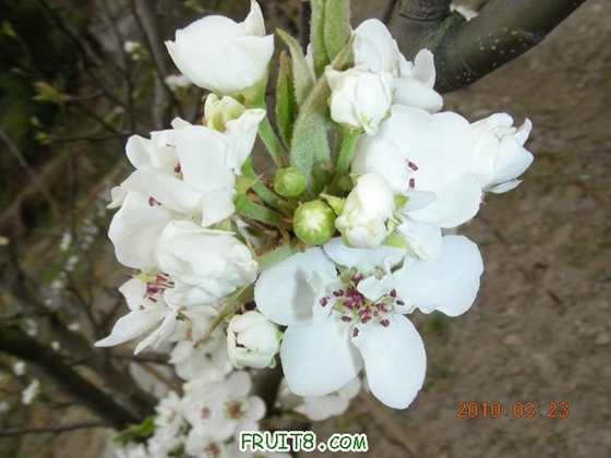 DSCN7422.JPG