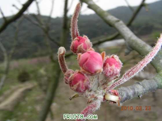 DSCN7426.JPG