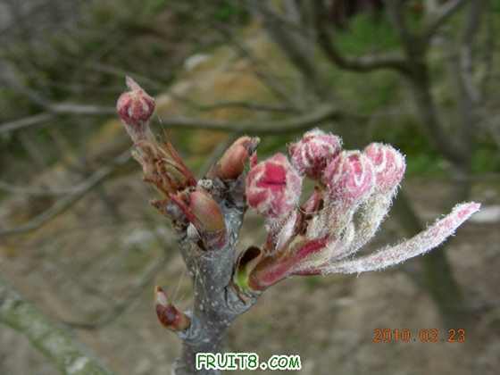 DSCN7428.JPG