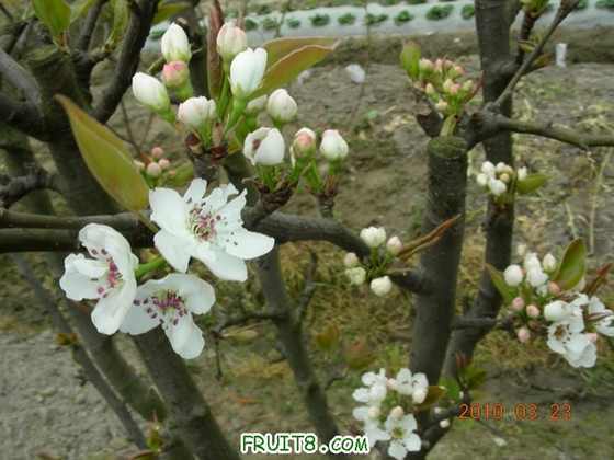 DSCN7438.JPG