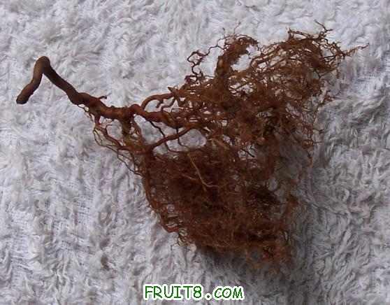 ��ˮʱ������ĸ���һ�����������