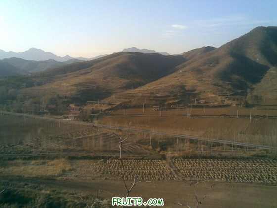 20091103(016).jpg