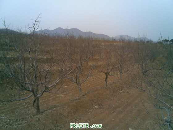 20100220(001).jpg