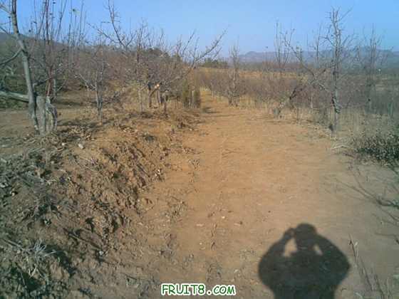 20100216(011).jpg