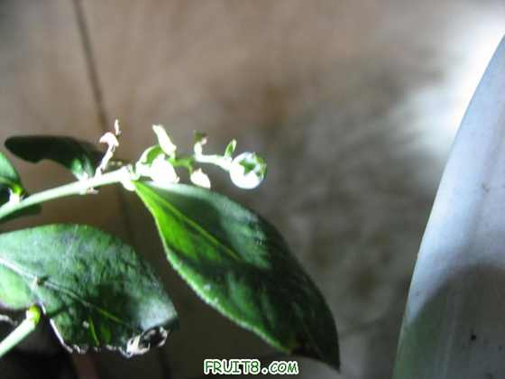 ǿñԲģĹҲ˺ܶ࣬ӦҲǽ