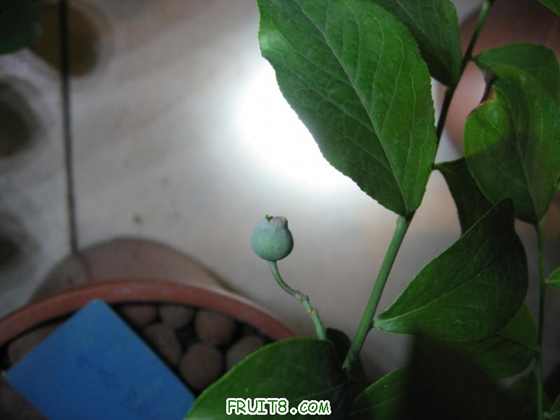 ñʯģĹ˺ܶ࣬Ӧǽ