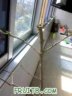 IMG0325130700.jpg