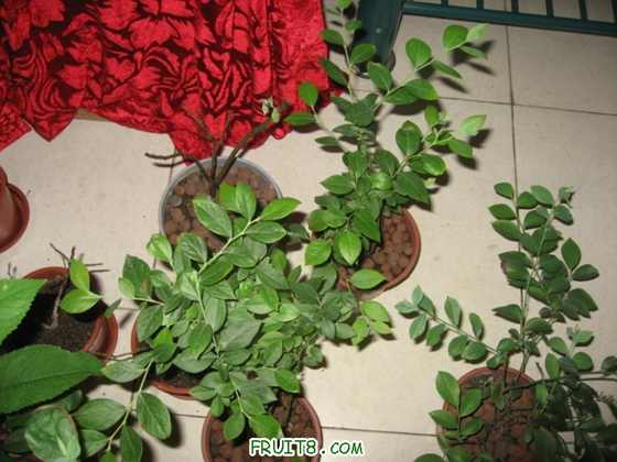 IMG_9039_copy.jpg