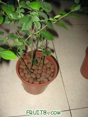 IMG_9046_copy.jpg