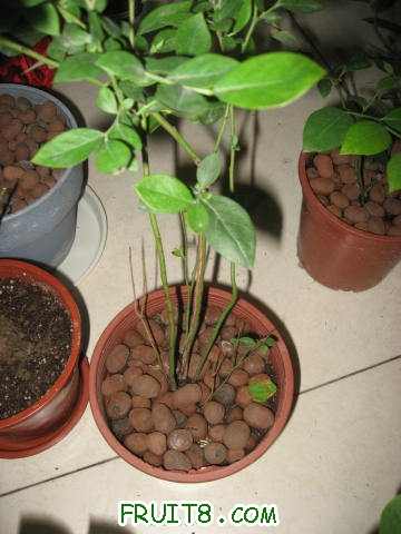 IMG_9045_copy.jpg