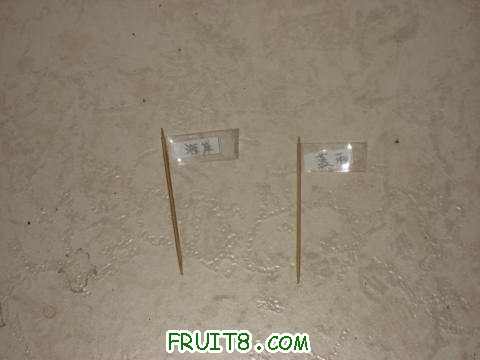 IMG_9044_copy.jpg