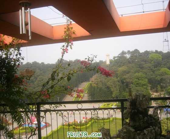 P1010625.JPG