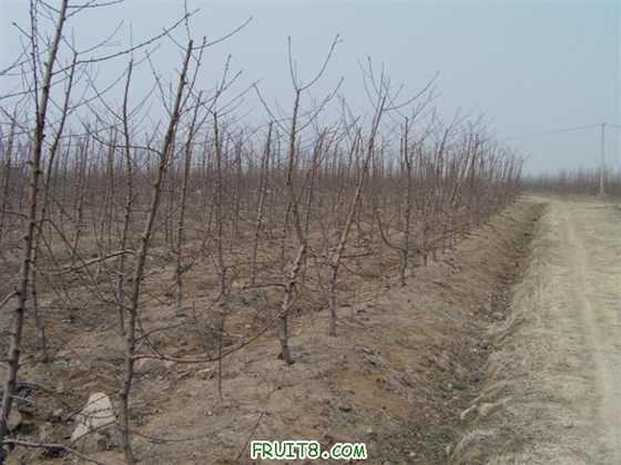 IMAG0033 (����).JPG