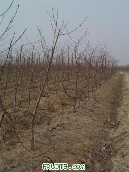 IMAG0030 (����).JPG