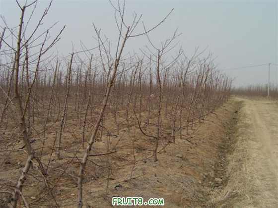 IMAG0031 (����).JPG