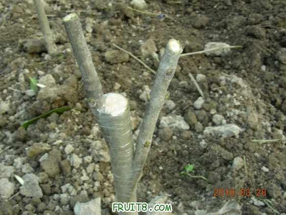 DSCN7619.JPG