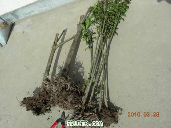 DSCN7609.JPG
