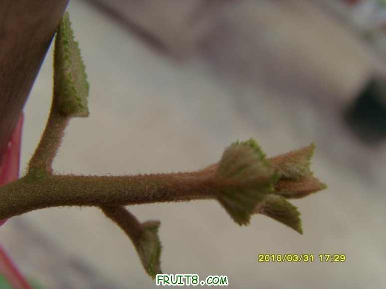 С SI855054.JPG