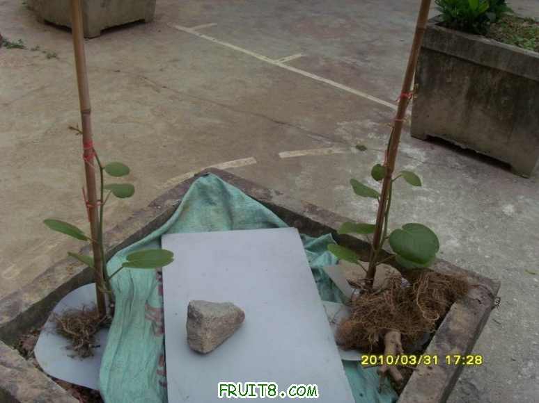 С SI855052.JPG