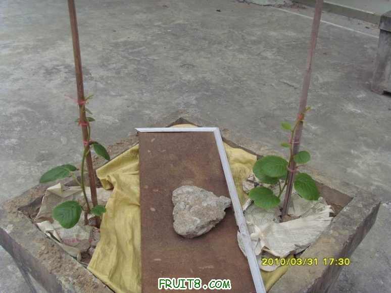 С SI855060.JPG