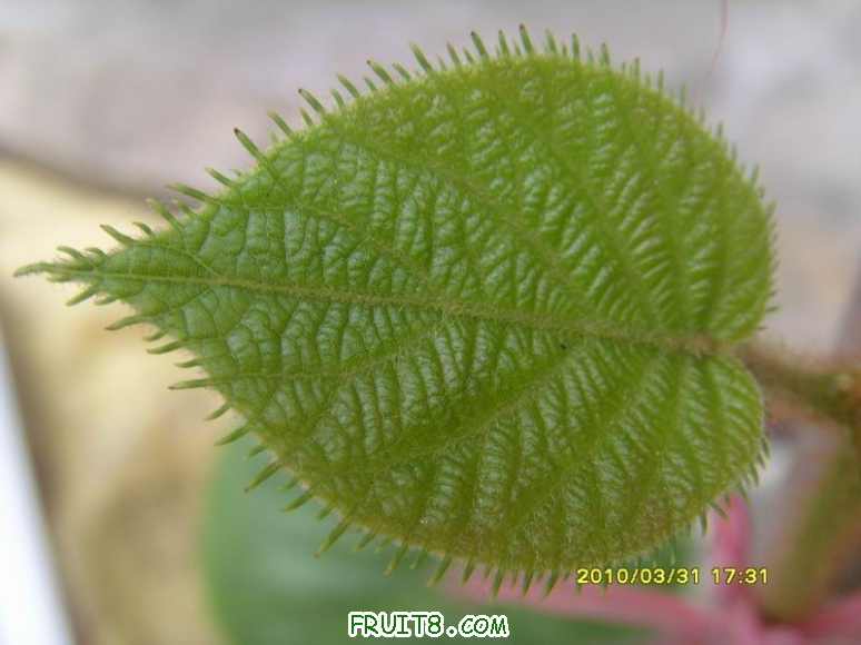С SI855065.JPG