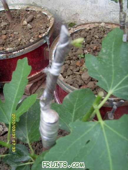 ������С SI855071.JPG