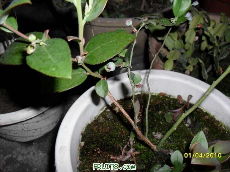 �������˼���С���������׻᳤��ʲô����������~~~~