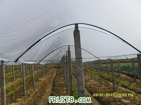 nEO_IMG_nEO_IMG_SDC11847.jpg