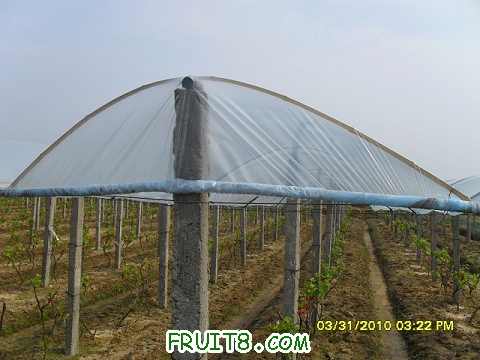 nEO_IMG_nEO_IMG_SDC11846.jpg