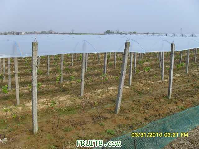 nEO_IMG_nEO_IMG_SDC11844.jpg