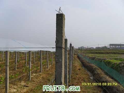 nEO_IMG_nEO_IMG_SDC11850.jpg