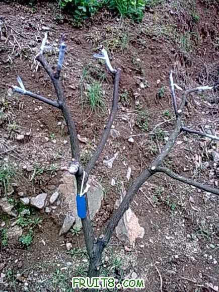 20100331_003.jpg