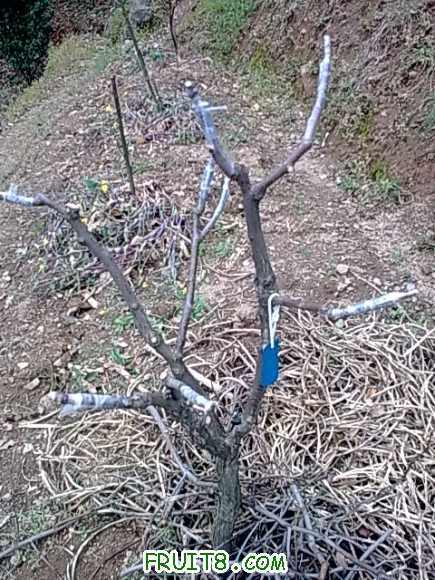 20100331_002.jpg