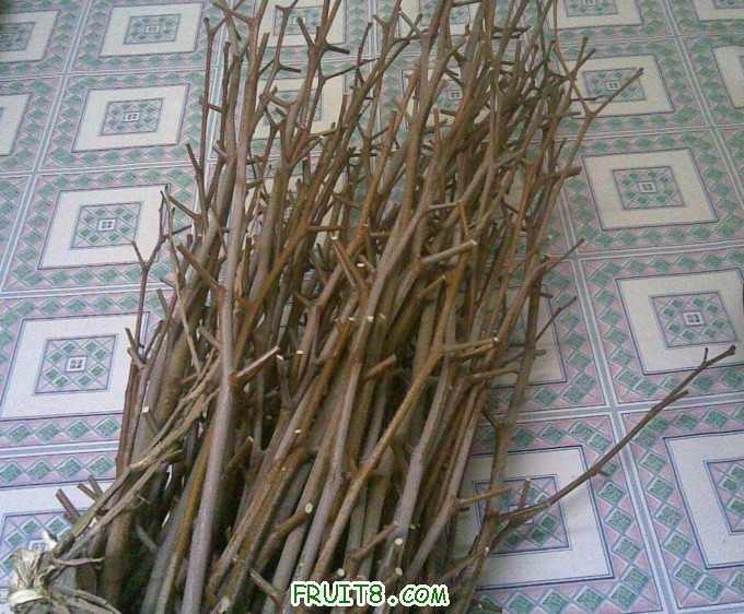 QQ��ͼδ����.jpg