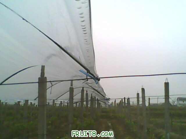 IMG0445A.jpg