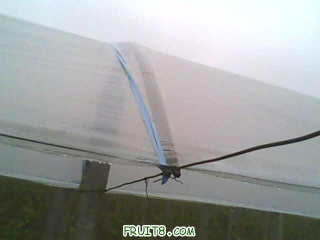 IMG0444A.jpg