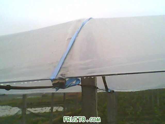 IMG0443A.jpg