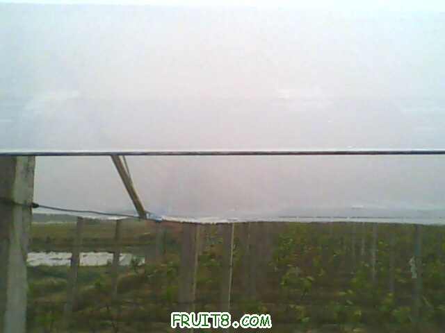IMG0442A.jpg