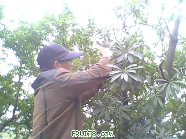 IMG0437A.jpg