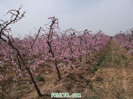 4��5�ո�Ʒ�ֿ���״ 010.jpg