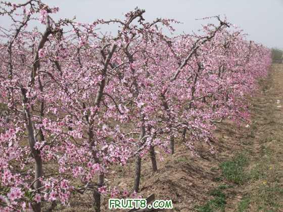 4��5�ո�Ʒ�ֿ���״ 011.jpg