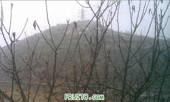 QQ��ͼδ����.jpg
