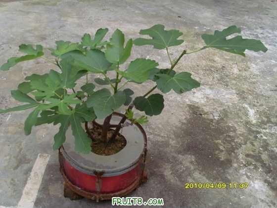 ���һ������һ��