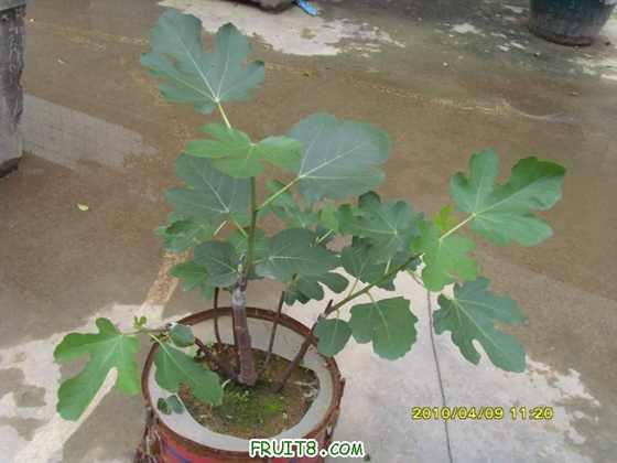 ���һ���ĺ�һ��