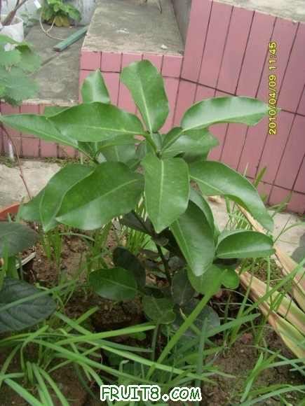 ������С SI855400.JPG