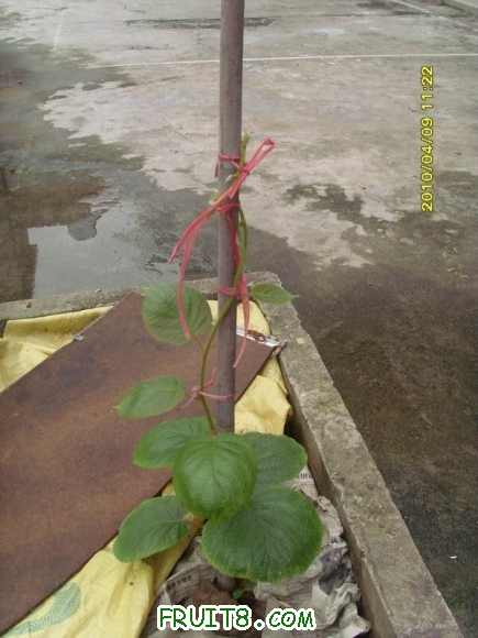 С SI855298.JPG