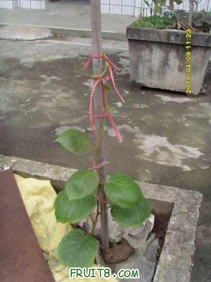 С SI855301.JPG